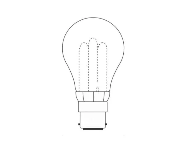 Bulbs